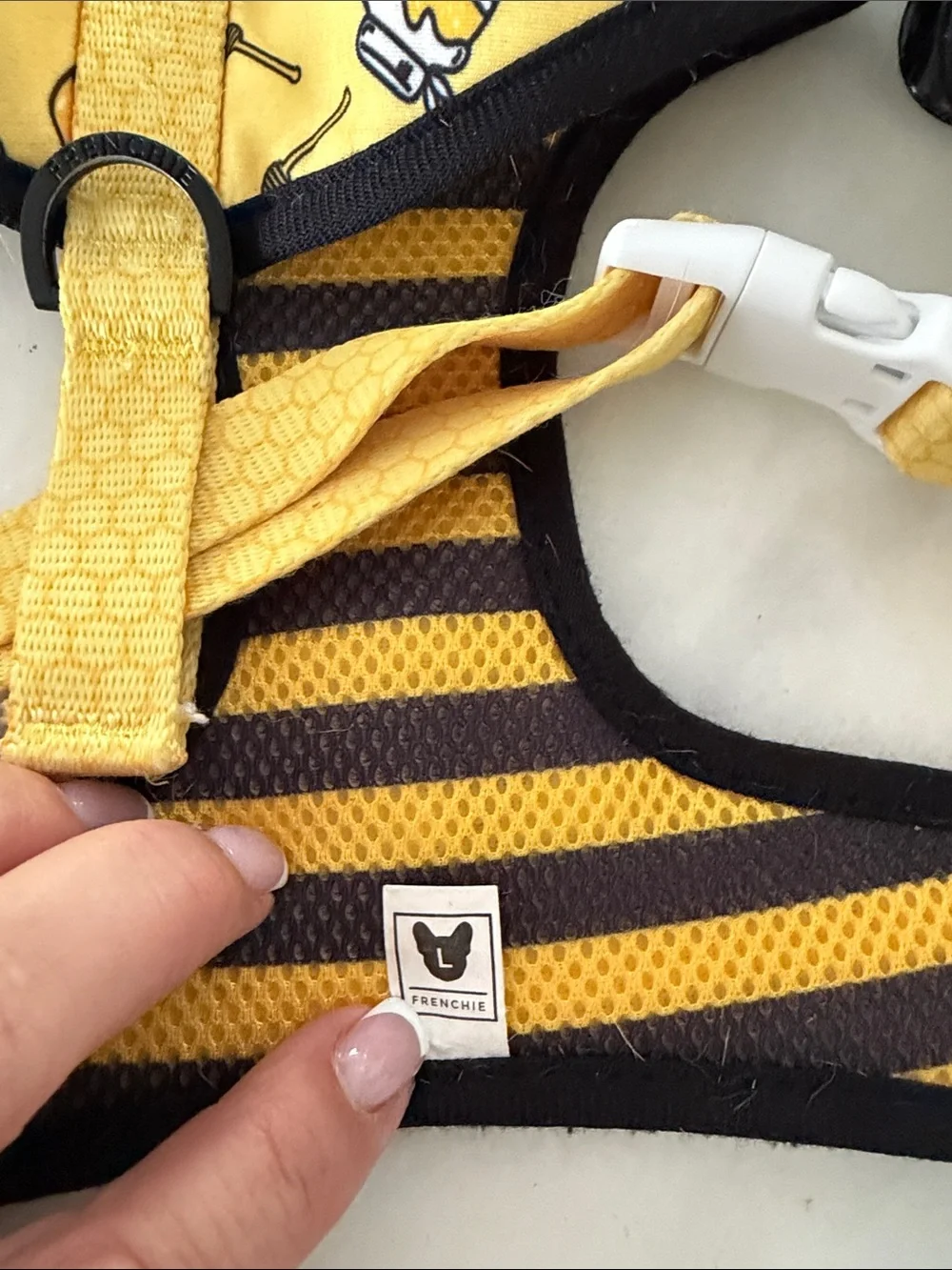 Frenchie Yellow and Black Bee-Print Dog Harness with Striped Leash
